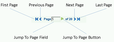 Page Options Controls